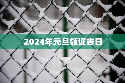 2025年元旦领证吉日
