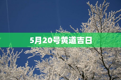 5月20号黄道吉日
