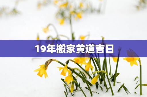 19年搬家黄道吉日