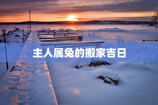 主人属兔的搬家吉日