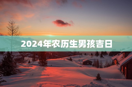 2025年农历生男孩吉日