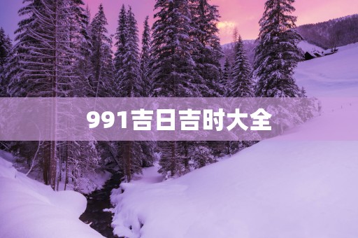 991吉日吉时大全