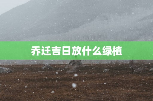 乔迁吉日放什么绿植