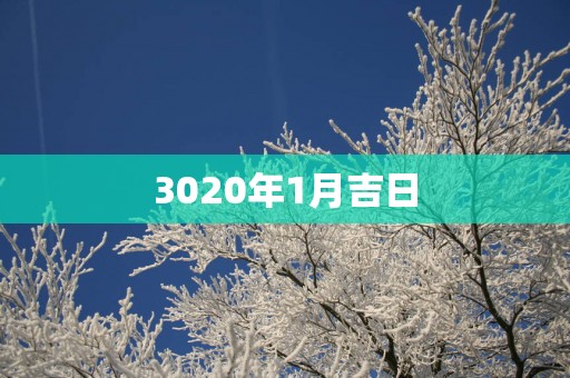 3020年1月吉日