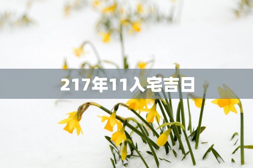 217年11入宅吉日