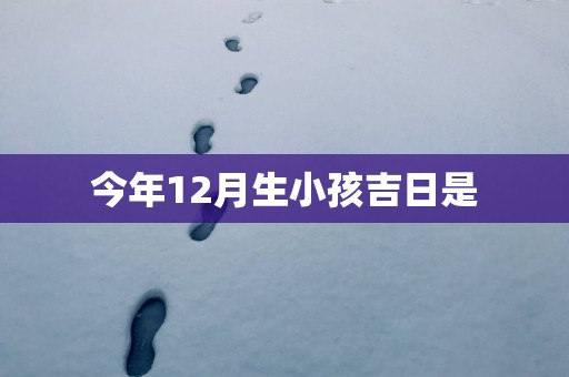 今年12月生小孩吉日是