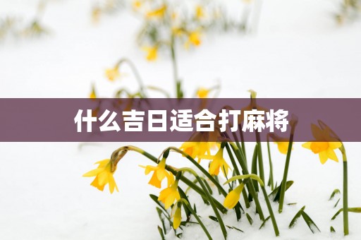 什么吉日适合打麻将