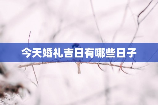 今天婚礼吉日有哪些日子