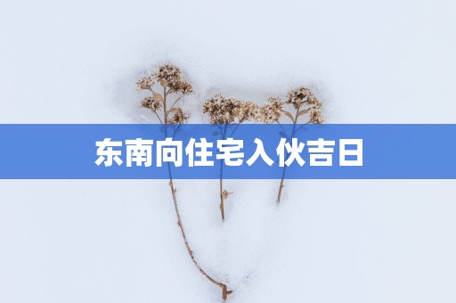 东南向住宅入伙吉日