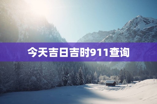 今天吉日吉时911查询