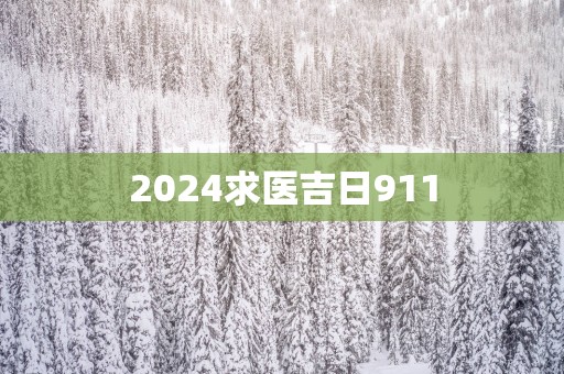 2025求医吉日911
