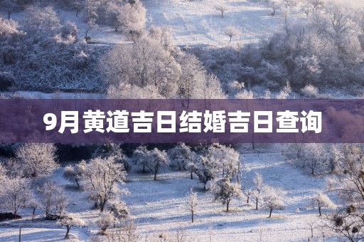 9月黄道吉日结婚吉日查询