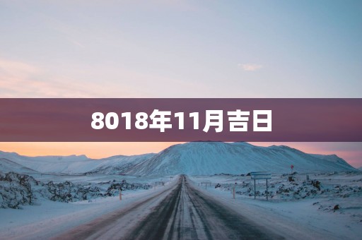 8018年11月吉日