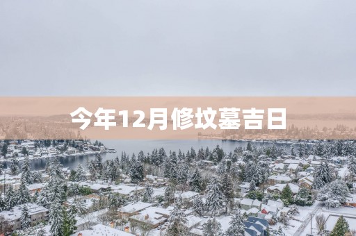 今年12月修坟墓吉日