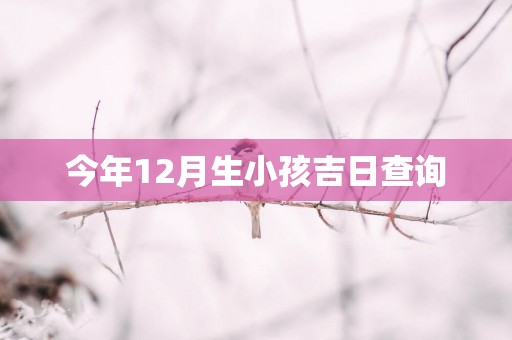 今年12月生小孩吉日查询