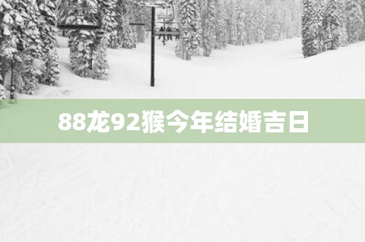 88龙92猴今年结婚吉日