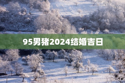 95男猪2025结婚吉日