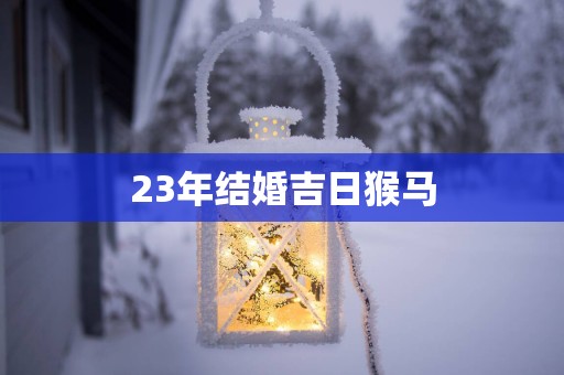 23年结婚吉日猴马
