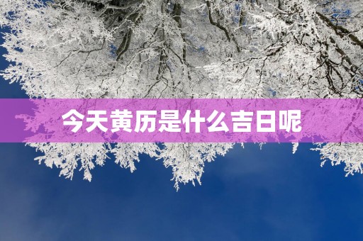 今天黄历是什么吉日呢