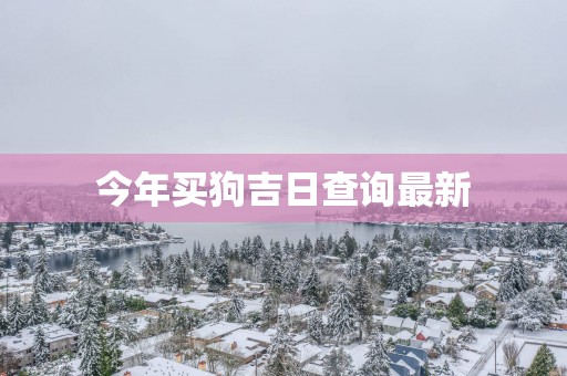 今年买狗吉日查询最新