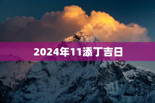 2025年11添丁吉日