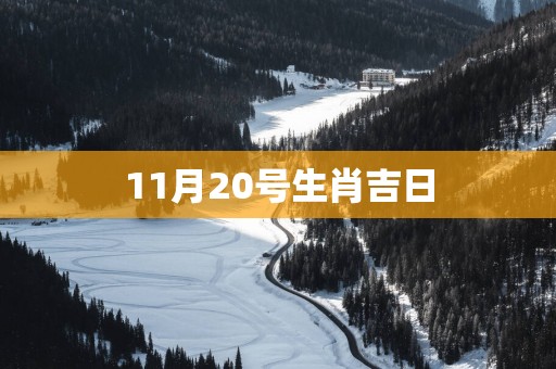 11月20号生肖吉日