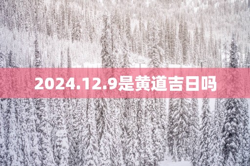 2025.12.9是黄道吉日吗