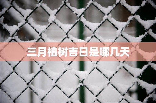 三月植树吉日是哪几天