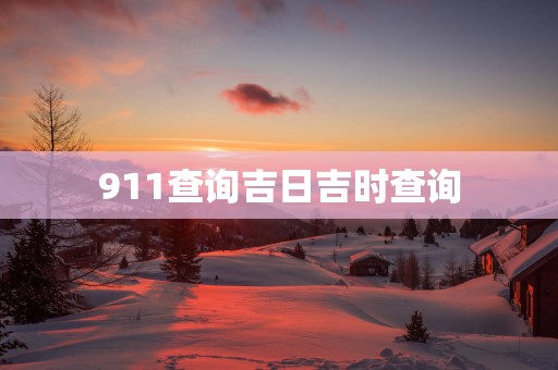 911查询吉日吉时查询
