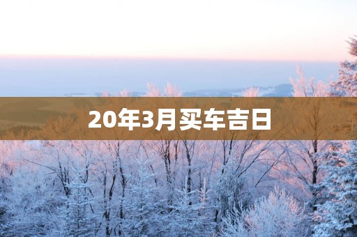 20年3月买车吉日