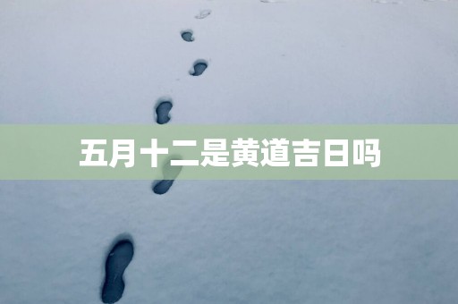 五月十二是黄道吉日吗