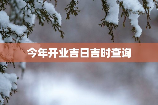 今年开业吉日吉时查询