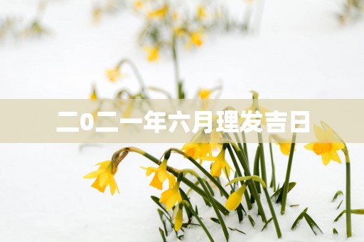 二0二一年六月理发吉日