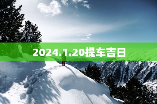 2025.1.20提车吉日