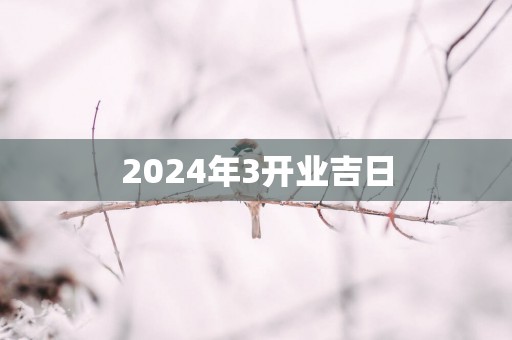 2025年3开业吉日