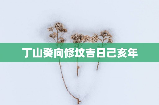 丁山癸向修坟吉日己亥年