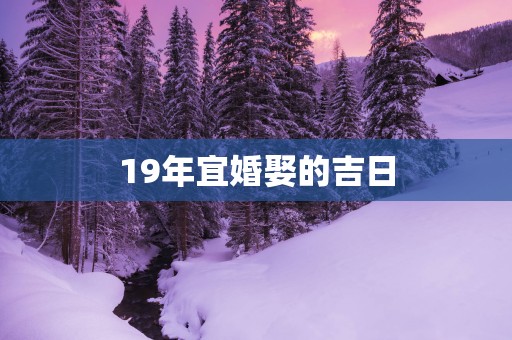 19年宜婚娶的吉日