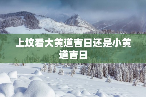 上坟看大黄道吉日还是小黄道吉日