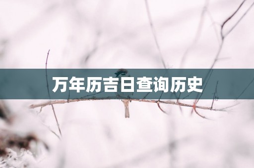 万年历吉日查询历史