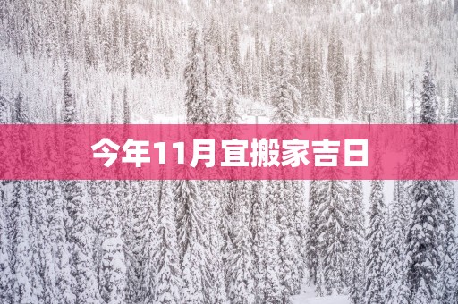 今年11月宜搬家吉日