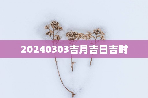 20250303吉月吉日吉时