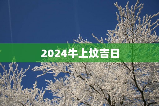 2025牛上坟吉日