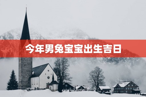 今年男兔宝宝出生吉日