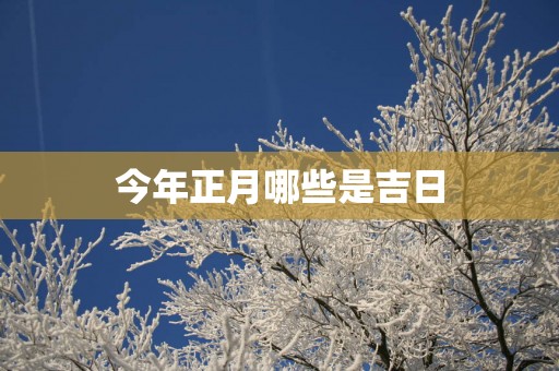 今年正月哪些是吉日