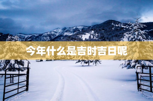 今年什么是吉时吉日呢