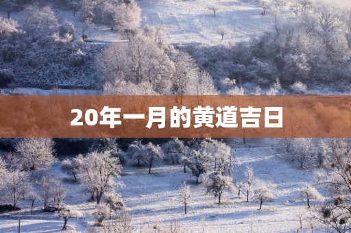 20年一月的黄道吉日