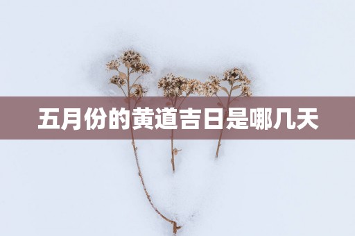 五月份的黄道吉日是哪几天