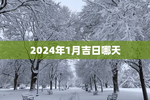 2025年1月吉日哪天