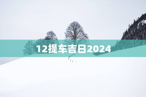 12提车吉日2025