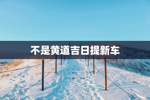 不是黄道吉日提新车